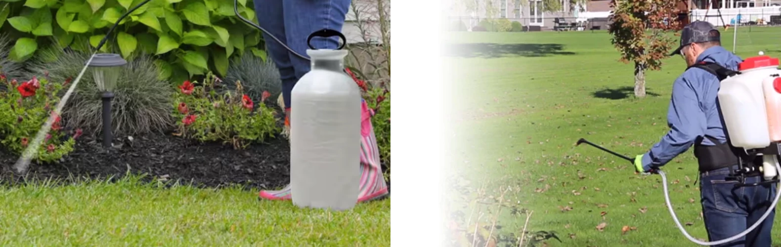 Chapin Shop -Chapin Shop 6C3EBEDD 0BA5 4267 93B6 7E3DCBB20432 副本